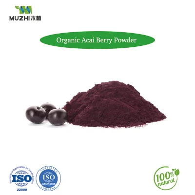 Strawberry Wholesale Factory Price Organic Certified Freeze Dried Fruit Strawberry Powder