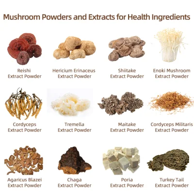 Lion′ S Mane Mushroom Extract Reishi Mushroom Extract Cordyceps Militaris Mushroom Blends