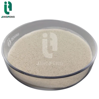 Protein Powder Vegetable Source Compound Amino Acid Powder