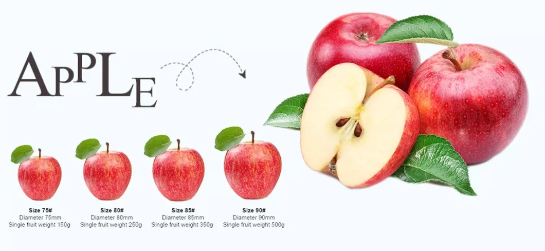 Natural Apple Fruit Fresh Red FUJI Bulk Fresh Apples Fruit From China