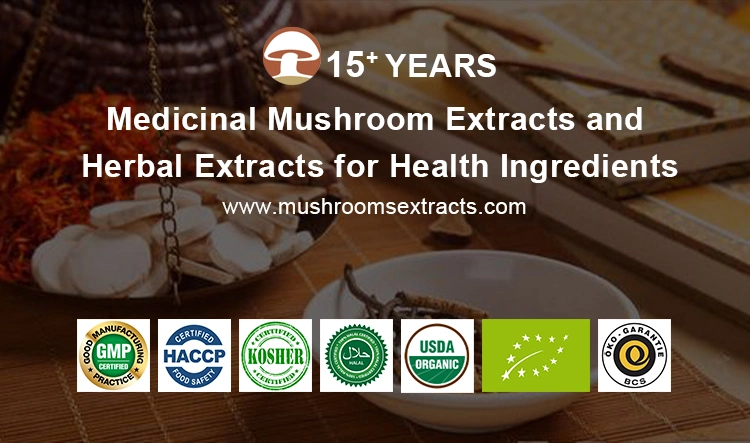 Organic Hericium Erinaceus Mushroon Extract Lions Mane Mushroom Powder Lion&prime;s Mane Extract Powder