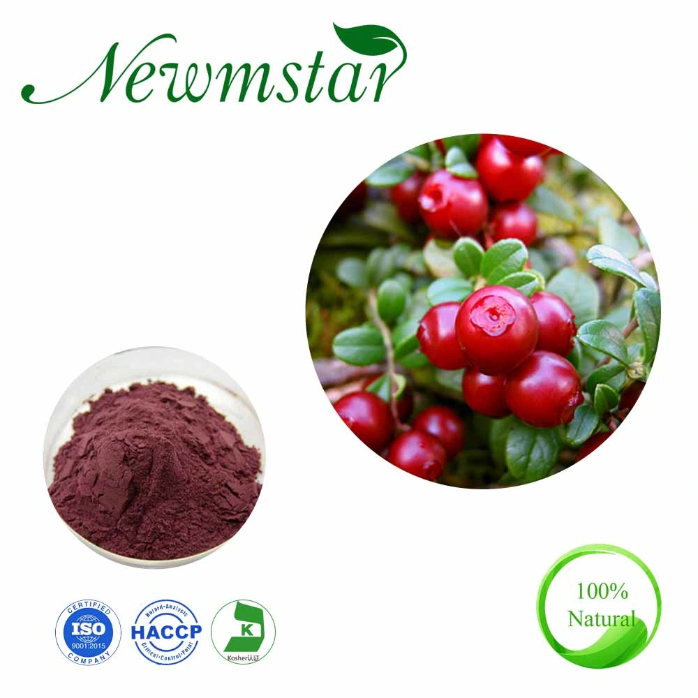ISO &amp; Halal Certified Herbal Extract Cranberry Juice Concentrate Cranberry Powder Cranberry Extract with PAC 25%