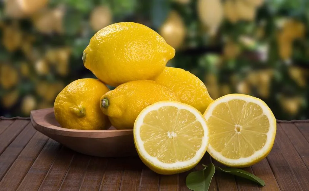 High Quality Fresh Citrus Fruit Fresh Lemon