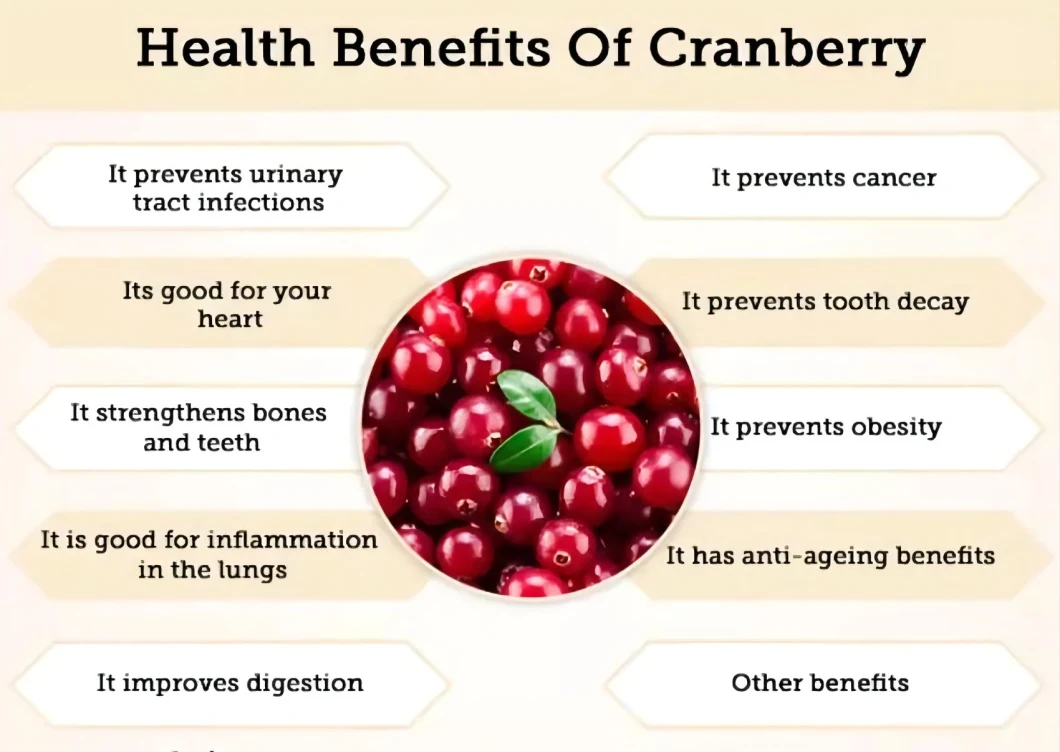 ISO &amp; Halal Certified Herbal Extract Cranberry Juice Concentrate Cranberry Powder Cranberry Extract with PAC 25%
