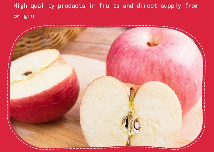 Natural Apple Fruit Fresh Red FUJI Bulk Fresh Apples Fruit From China